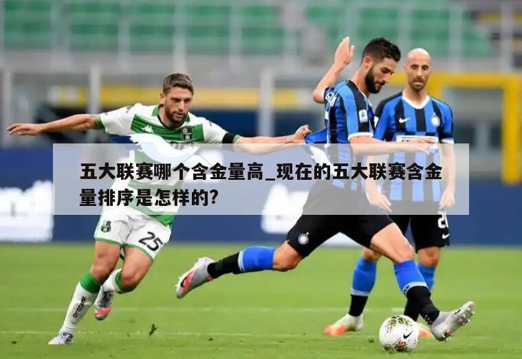 五大联赛哪个含金量高_现在的五大联赛含金量排序是怎样的?