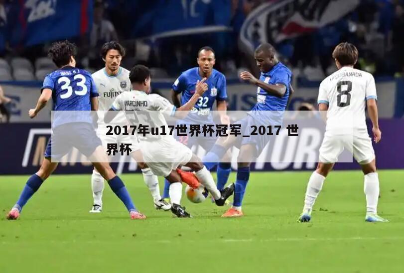 2017年u17世界杯冠军_2017 世界杯