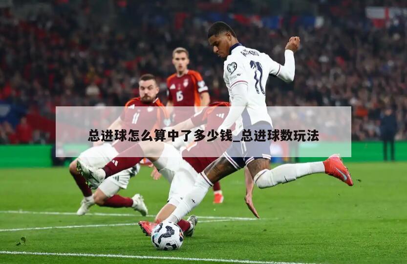 总进球怎么算中了多少钱_总进球数玩法