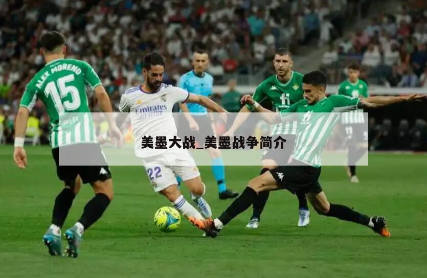 美墨大战_美墨战争简介