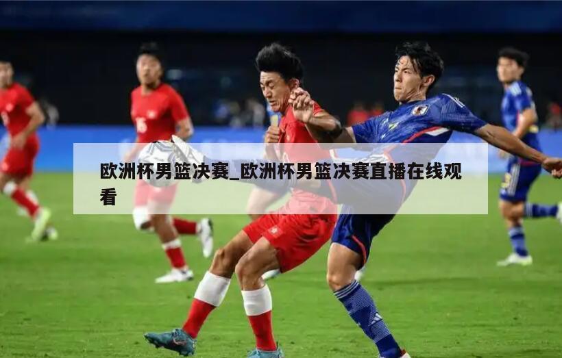 欧洲杯男篮决赛_欧洲杯男篮决赛直播在线观看