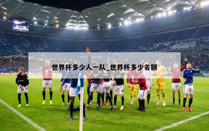 世界杯多少人一队_世界杯多少名额