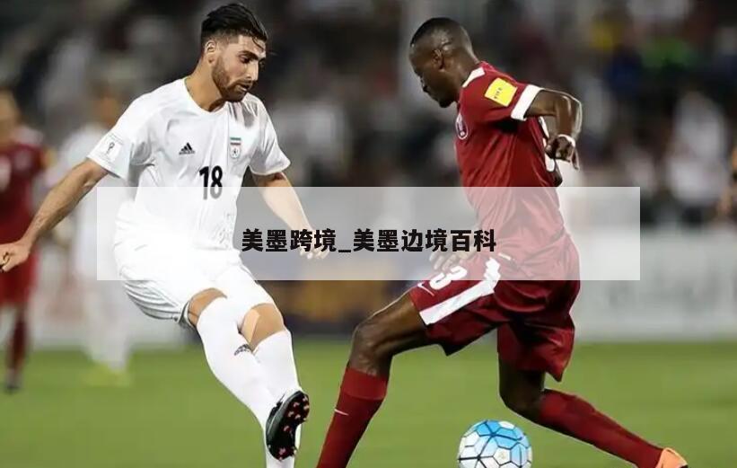 美墨跨境_美墨边境百科